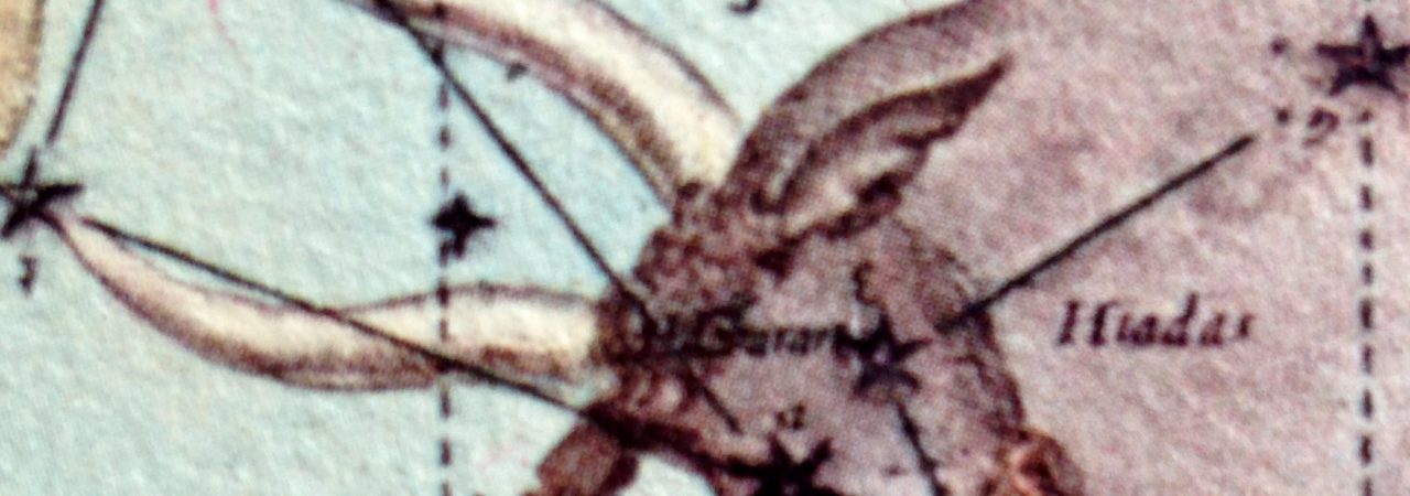 Ora la grande forza del Fuoco cosmico dell’Ariete si trasfonde in quella materna e generatrice del Toro. Segno di terra, femminile. Al Toro sono associati due pianeti come Venere e Luna. L’energia che si esprime è conservatrice, stabile, vitale. La Grande Madre è pienamente nella Natura che sta creando. La sua sete generativa riempie ed effonde i sensi pervasi dall’essere lussureggiante che si esprime nel mondo. Verde, colori, profumi, armoniose forme sono, esistono in quanto tali, espressione di ricchezza inebriante. Il sogno di possederne la manifestazione potrebbe bloccarci nella materialità, come fermarci nell’esclusività di un unico punto di vista. Il segno dello Scorpione appare nel cielo dello zodiaco come suo opposto, aiuta il Toro a trascendere gradualmente il desiderio compulsivo di possesso elevando lo sguardo alla contemplazione profonda dello spirituale. Lo Spirito vive alfine dentro la Natura, egli è la sua vita.