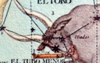 Ora la grande forza del Fuoco cosmico dell’Ariete si trasfonde in quella materna e generatrice del Toro. Segno di terra, femminile. Al Toro sono associati due pianeti come Venere e Luna. L’energia che si esprime è conservatrice, stabile, vitale. La Grande Madre è pienamente nella Natura che sta creando. La sua sete generativa riempie ed effonde i sensi pervasi dall’essere lussureggiante che si esprime nel mondo. Verde, colori, profumi, armoniose forme sono, esistono in quanto tali, espressione di ricchezza inebriante. Il sogno di possederne la manifestazione potrebbe bloccarci nella materialità, come fermarci nell’esclusività di un unico punto di vista. Il segno dello Scorpione appare nel cielo dello zodiaco come suo opposto, aiuta il Toro a trascendere gradualmente il desiderio compulsivo di possesso elevando lo sguardo alla contemplazione profonda dello spirituale. Lo Spirito vive alfine dentro la Natura, egli è la sua vita.