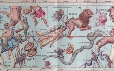 “I dodici segni zodiacali rappresentano simbolicamente dei modelli di energia: gli elementi Fuoco, Terra, Aria, Acqua a cui ognuno appartiene indicano modalità di espressione dell'essenza umana. I segni zodiacali sono una rappresentazione del tempo solare, delle stagioni e dei cicli della natura. Zodiaco deriva da zoo-diacos che significa ruota della vita. Ogni mese coincide così con un segno zodiacale al quale sono stati attribuiti significati psicologici in armonia con il ciclo naturale che si svolge in quel periodo. Le stagioni hanno una fase iniziale, una di espansione e una conclusiva. I segni zodiacali cardinali sono: Ariete, Cancro, Bilancia, Capricorno. Essi corrispondono all’inizio delle quattro stagioni: Ariete e Bilancia iniziano con i due equinozi di primavera e d’autunno, rispettivamente il 21 marzo e il 23 settembre; Cancro e Capricorno con i due solstizi d’estate e d’inverno, rispettivamente il 22 giugno e il 22 dicembre. Le persone con un’enfasi nei segni zodiacali cardinali sono, in un certo senso, “i pionieri” dello zodiaco poiché aprono nuove strade, iniziano, intraprendono, ma spesso mancano di costanza. I segni zodiacali fissi sono: Toro, Leone, Scorpione, Acquario. Essi corrispondono al periodo culminante delle stagioni. Nel Toro (21 aprile-20 maggio) è in pieno svolgimento la primavera, nel Leone (23 luglio-23 agosto) l’estate, nello Scorpione (23 ottobre -22 novembre) l’autunno, nell’Acquario (21 gennaio-19 febbraio) l’inverno. Le persone con un’enfasi nei segni zodiacali fissi tendono a preservare uno “status quo”, perseguono i propri obiettivi con tenacia e temono i cambiamenti. I segni zodiacali mobili sono: i Gemelli, Vergine, Sagittario, Pesci che corrisponde alla fine delle stagioni: Gemelli (21 maggio-21 giugno) alla fine della primavera, Vergine ( 24 agosto-22 settembre) alla fine dell’estate, Sagittario (23 novembre-21 dicembre) alla fine dell’autunno, Pesci (20 febbraio- 20 marzo) alla fine dell’inverno. Le persone con enfasi nei segni zodiacali mobili sono molto versatili e si adattano facilmente a nuove situazioni, il rischio è che tra un cambiamento e l’altro costruiscano ben poco. I modelli di energia che i dodici segni zodiacali rappresentano, vivono in ognuno di noi. Tutti e dodici i segni zodiacali sono presenti nel nostro tema natale, in alcuni individui saranno predominanti alcuni segni zodiacali a discapito di altri, ma indiscutibilmente tutti noi, prima o poi, in una dimensione di esperienza piuttosto che un’altra, agiremo sotto l’impulso di queste energie. “